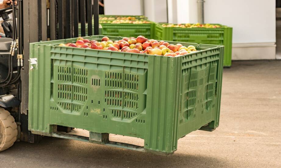 Pojemniki na owoce: praktyczne rozwiązania do przechowywania i transportu