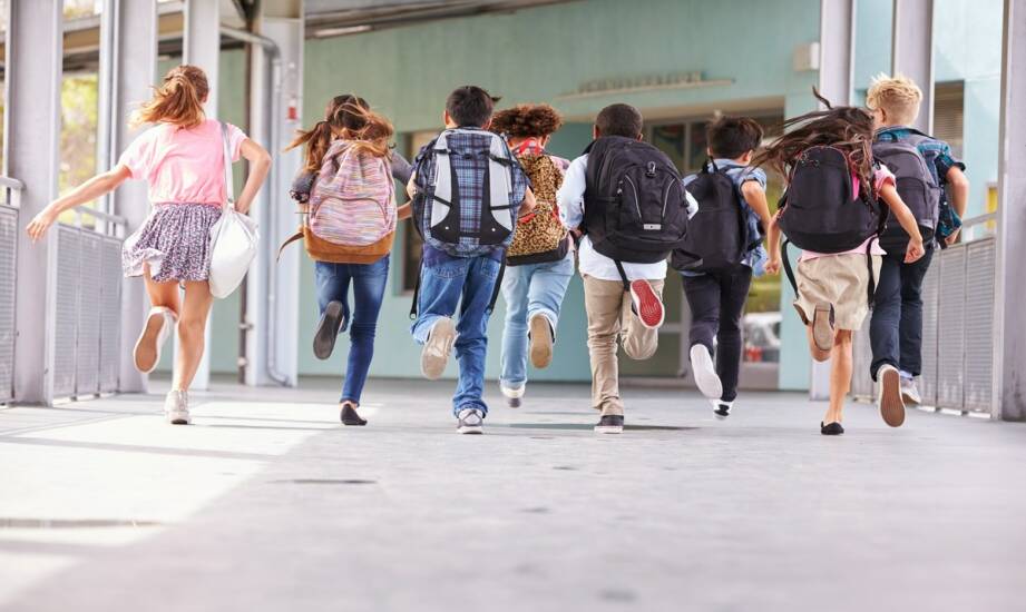 Niepubliczne liceum: czym wyróżnia się oferta edukacyjna