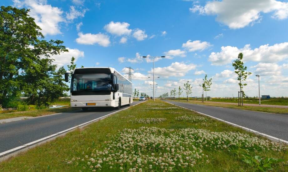 Busy do Holandii — co warto wiedzieć przed planowaną podróżą