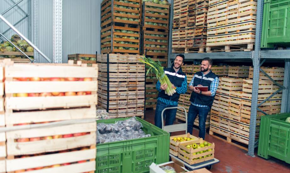 Jak efektywnie zarządzać magazynem warzyw z kontrolowaną atmosferą?