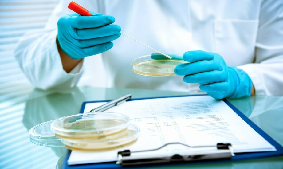 Testy wykrywające bakterie — co warto wiedzieć o badaniach mikrobiologicznych