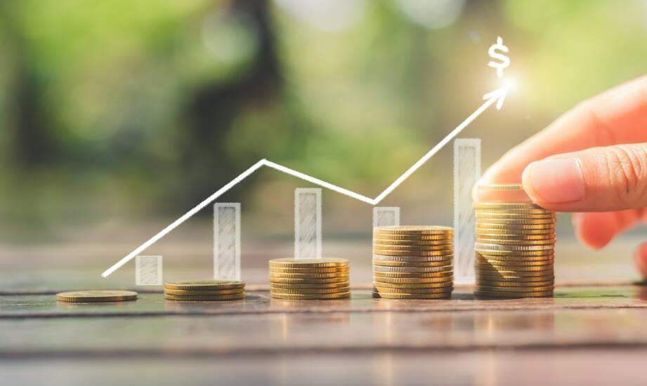 Inwestycje private equity: podstawy i co warto wiedzieć przed startem