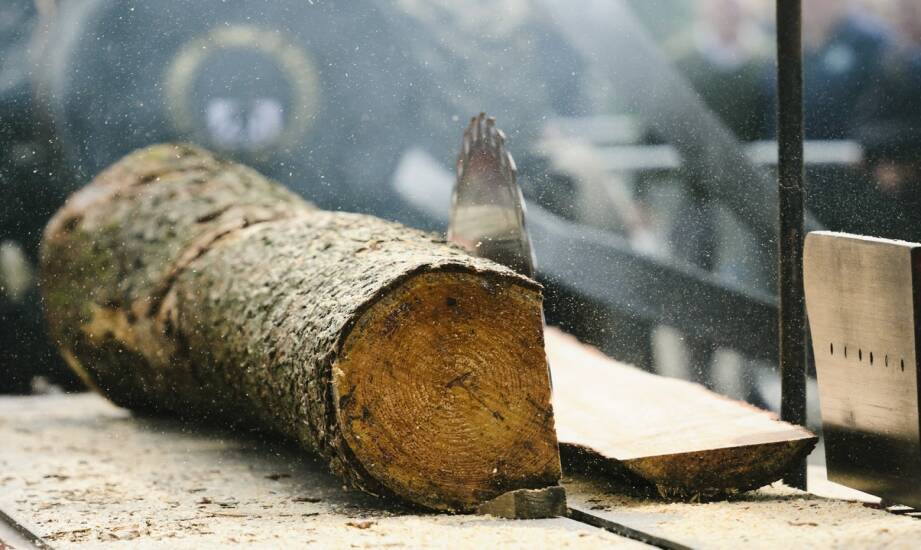 Noże do frezarki do pni — jak wybrać właściwe narzędzia i materiały