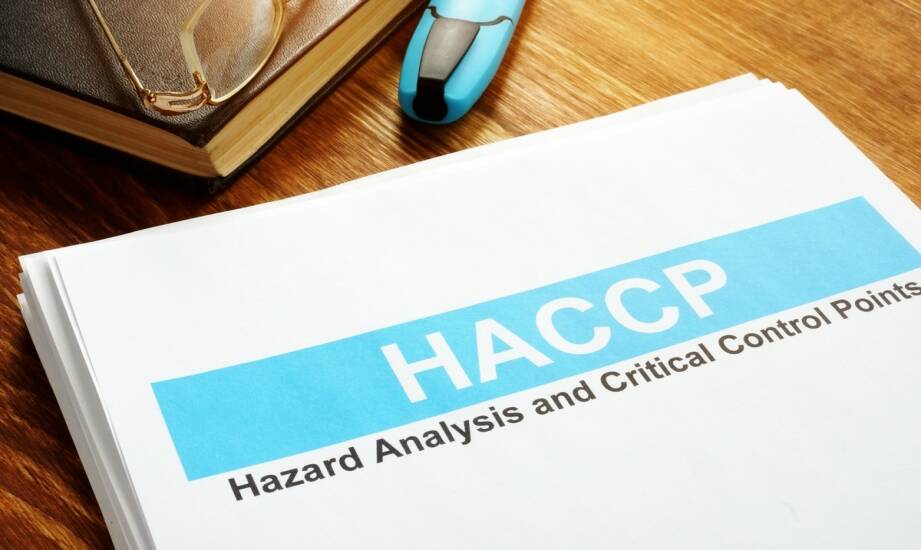 Audyt HACCP: kluczowe zasady i najczęstsze błędy do poprawy