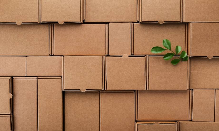 Produkcja kartonów: jak wybierać opakowania przyjazne środowisku