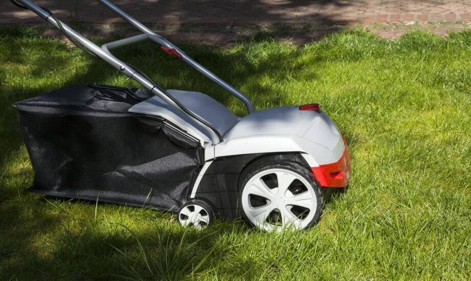 Trawnik z rolki — szybkie metody na gęstą i zdrową murawę