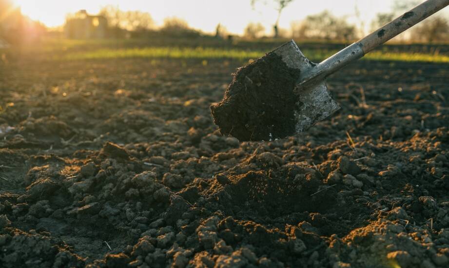 Mulczowanie terenu – korzyści, metody i praktyczne wskazówki dla działek