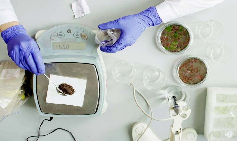 Biorezonans jako metoda wspomagająca zwalczanie pasożytów — co warto wiedzieć