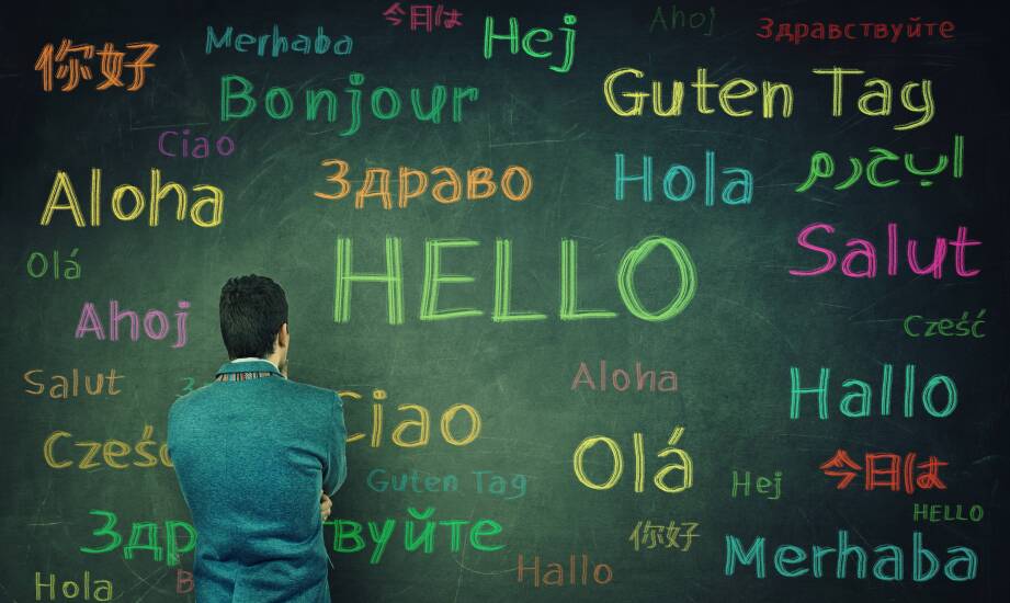 Jak instytut wspiera rozwój umiejętności komunikacyjnych w językach romańskich?