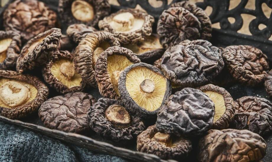 Wholesale mushroom supplier – the key to creativity in professional kitchens