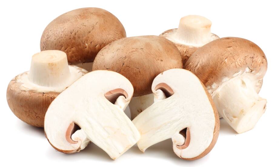 How do wholesale mushroom deliveries help reduce food waste?