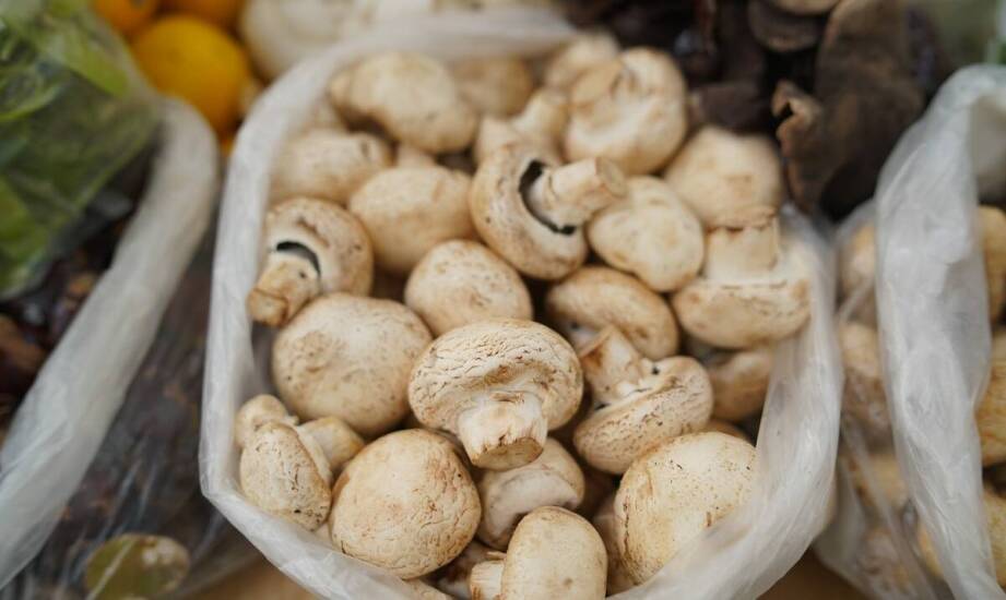 The importance of flexible mushroom suppliers for success in the food sector