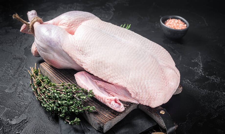 Na co zwrócić uwagę przy zakupie świeżej gęsiny dla gastronomii i handlu