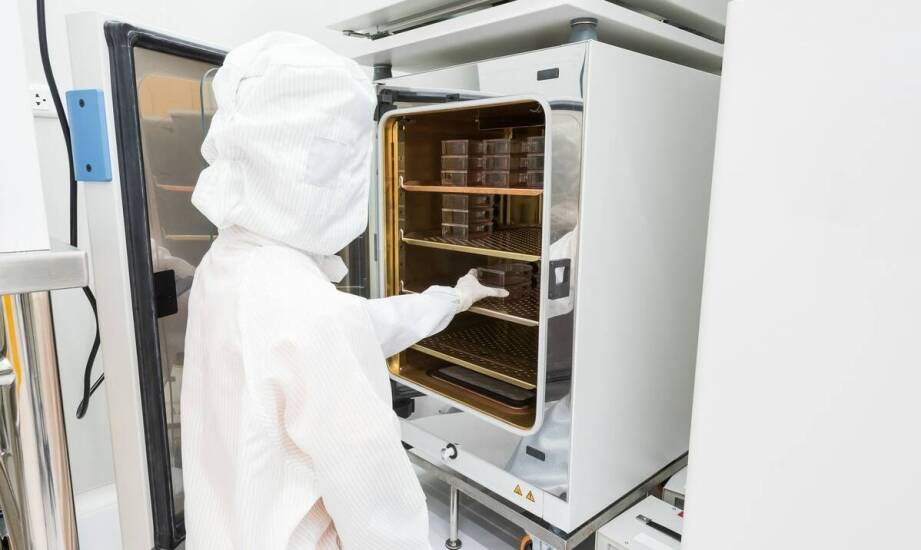 Od granulatu do sterylnego wyrobu — czego wymaga produkcja szalek Petriego dla laboratoriów