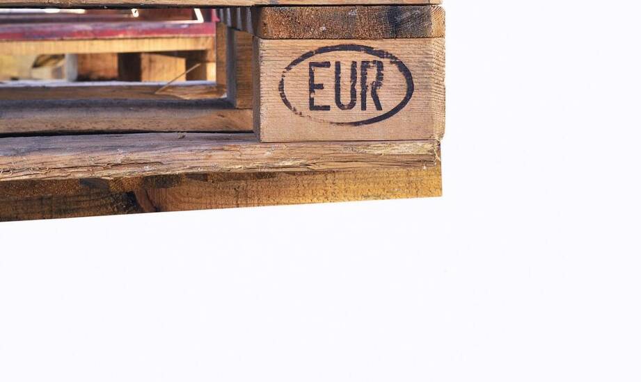 Dlaczego palety EURO i jednorazowe dostają inną wycenę w skupie na Mazowszu