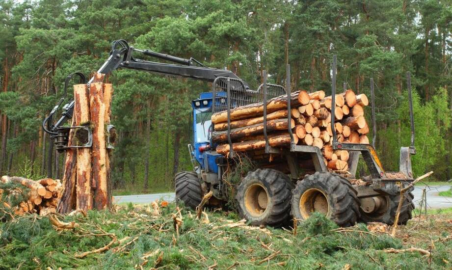 Jak ocenić, czy ciągnik poradzi sobie ze zrywką drewna i pracą na trudnym terenie
