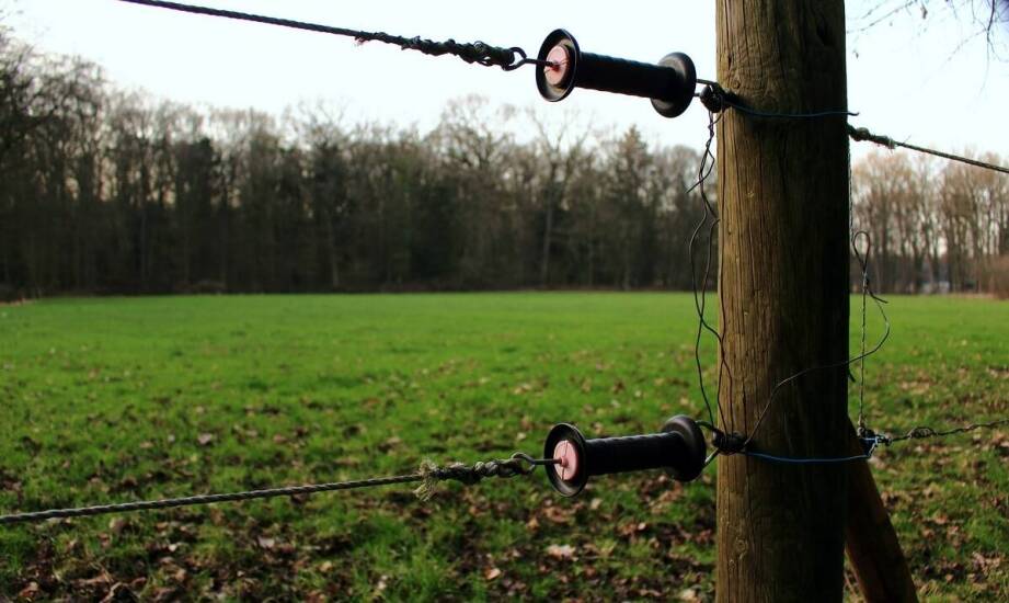 Stałe ogrodzenie elektryczne dla bydła, koni i owiec — błędy montażowe, które osłabiają działanie