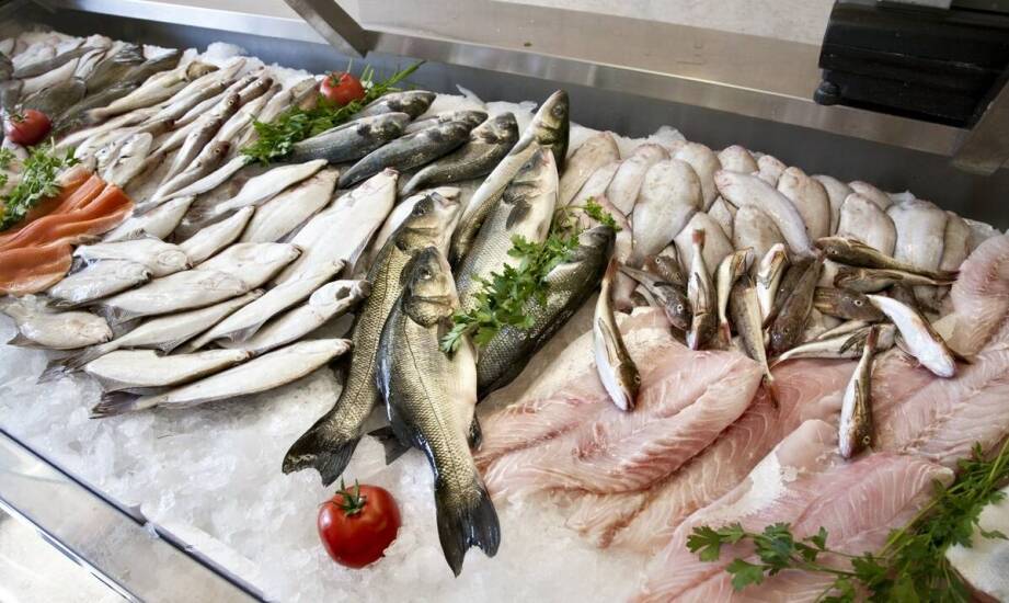 Zmiennocieplność ryb: od biologii organizmu do odbioru surowca w HoReCa