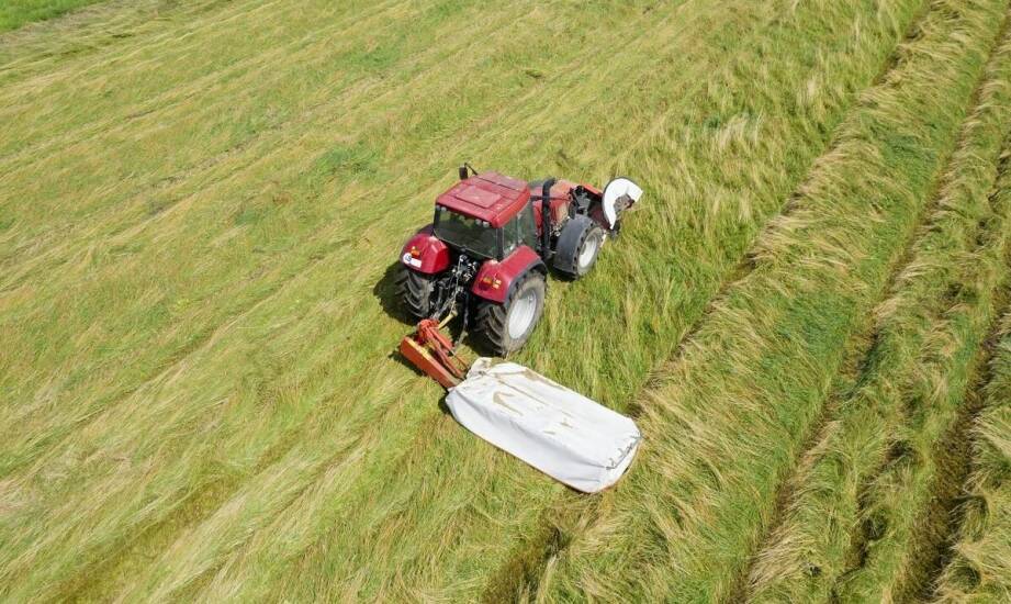 Codzienna pielęgnacja pielnika międzyrzędowego, która ogranicza zużycie i przestoje w sezonie