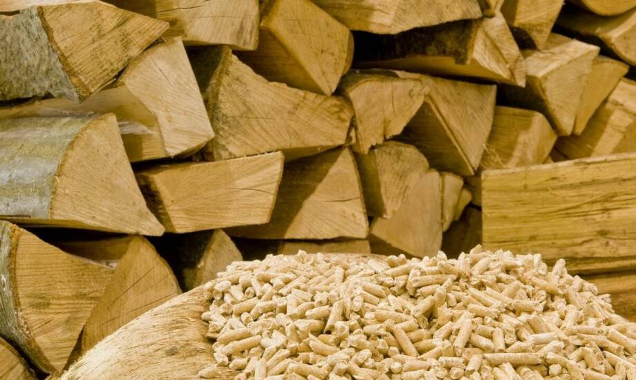 Drewno, pellet czy ekogroszek — kiedy lokalny opał z lasu ma sens nad morzem