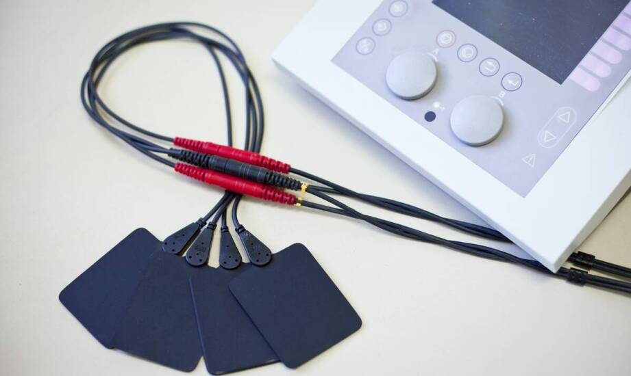 Dobór obroży elektronicznej do psa pracującego — jakie parametry decydują o zastosowaniu