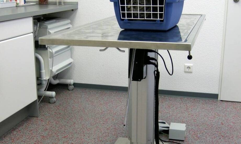 Jak wygląda zakres opieki w przychodni dla psa, kota, fretki i królika