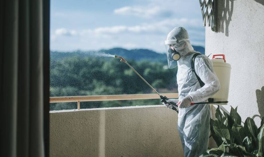 Żel, oprysk czy fumigacja — jak dobiera się metodę walki z prusakami w bloku
