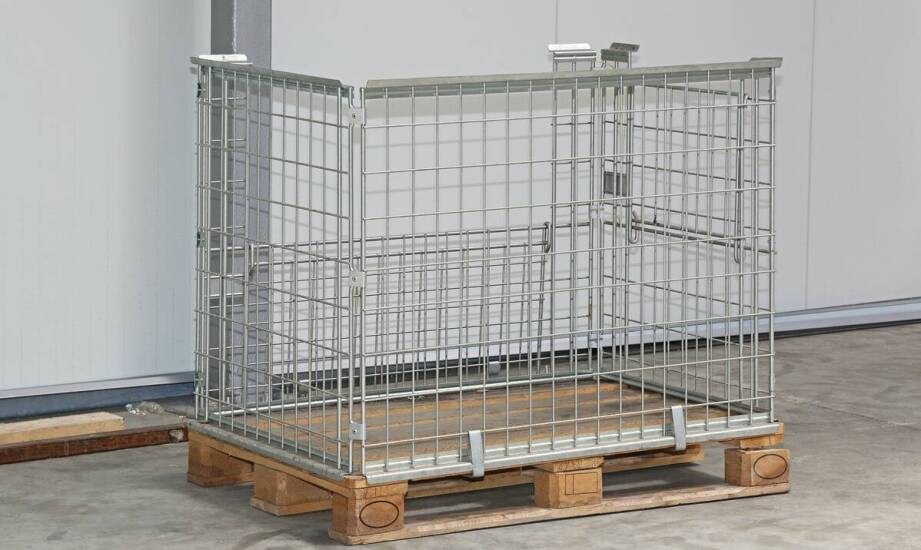 Kiedy przewóz psa samolotem w cargo staje się konieczny przy eksporcie zwierząt