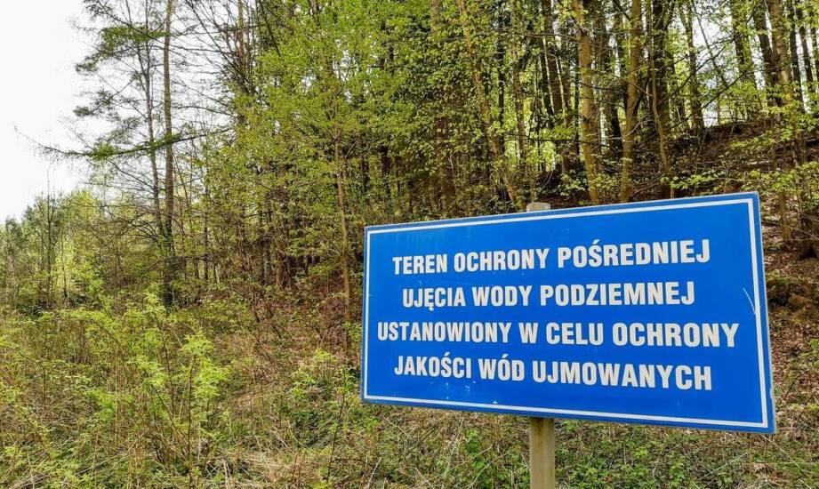 Co wolno zrobić z pomnikiem przyrody na prywatnej działce i kiedy potrzebna jest zgoda