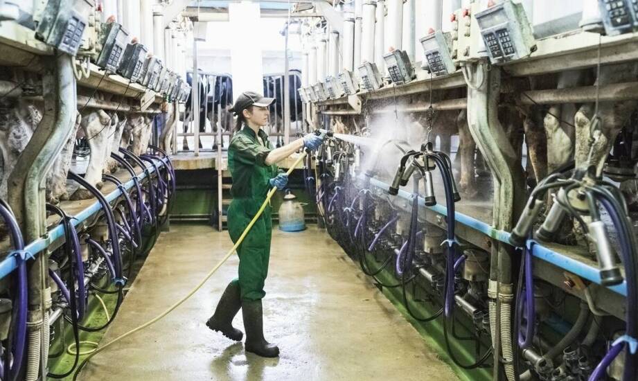 Ergonomia, kontakt z żywnością i dostęp do zakamarków — jak dobierać narzędzia do mycia w mleczarni