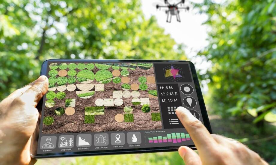Jak mapowanie pól z RTK porządkuje decyzje o nawożeniu w małym gospodarstwie