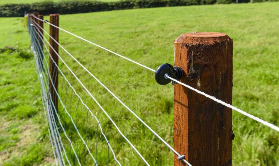 Elektryzator 12 V na pastwisku — jak dobrać zasięg do zwierząt i długości ogrodzenia