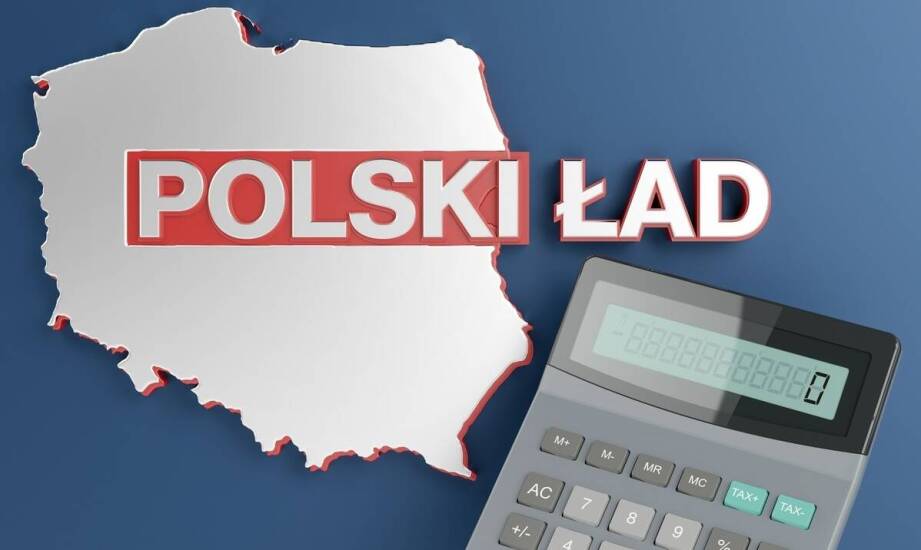 Jak teza Kevina Duttona pomaga czytać decyzje polskich przywódców bez sensacji