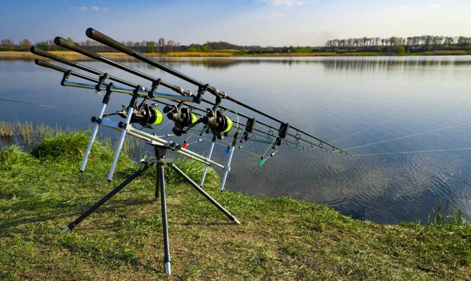 Pierwsze łowienie pod Warszawą bez wpadek z regulaminem i wyborem miejsca