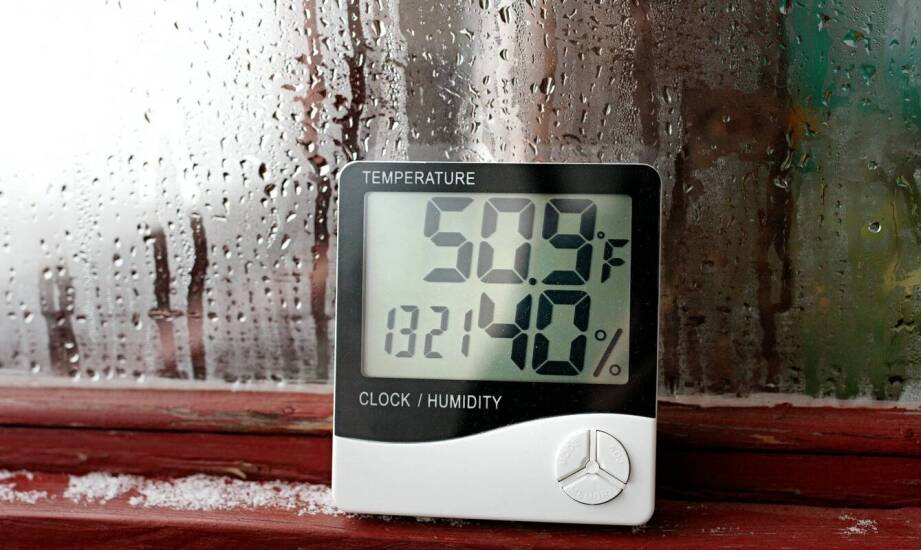 Od temperatury do ciśnienia — które domowe przyrządy pogodowe mają praktyczny sens w domu i ogrodzie?
