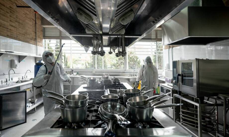 Deratyzacja w małopolskiej gastronomii — jak wygląda proces od oceny ryzyka do monitoringu