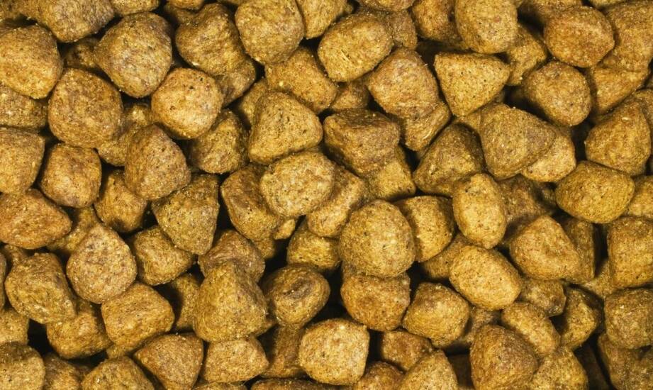 Bolusy energetyczne i mineralne u bydła — kiedy energia, a kiedy minerały