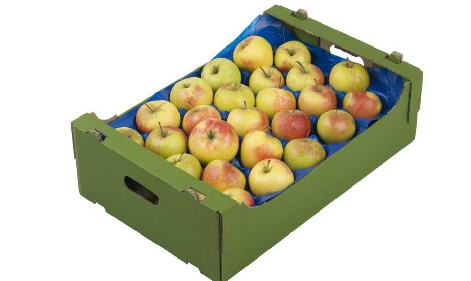 Od czego zależy, czy opakowanie na 1 kg miękkich owoców wytrzyma transport