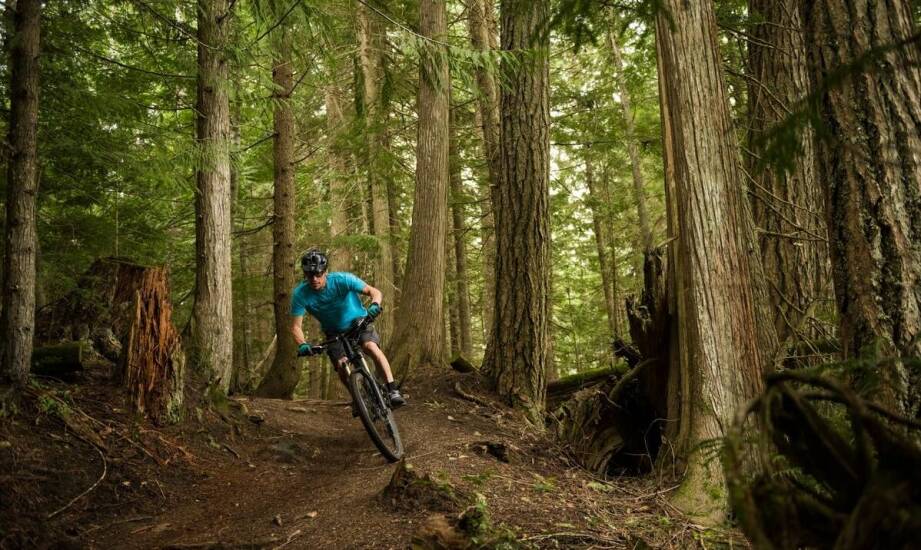 Rower MTB czy crossowy do jazdy po trasach w Czechowicach-Dziedzicach