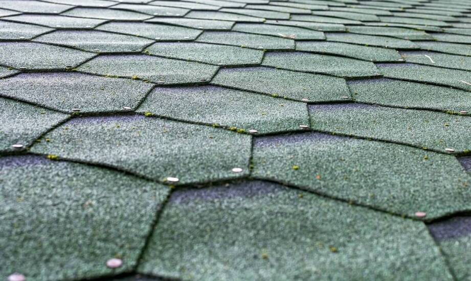 Jak odcień Forest Green na gontach zmienia odbiór dachu w świetle Pomorza