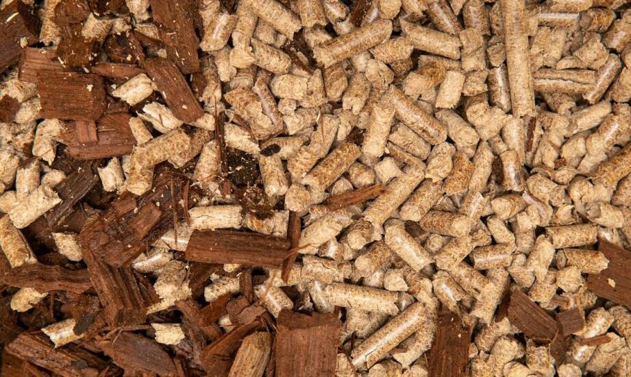Dlaczego pellet i zrębki wymagają innego poboru i przygotowania próbek przed analizą