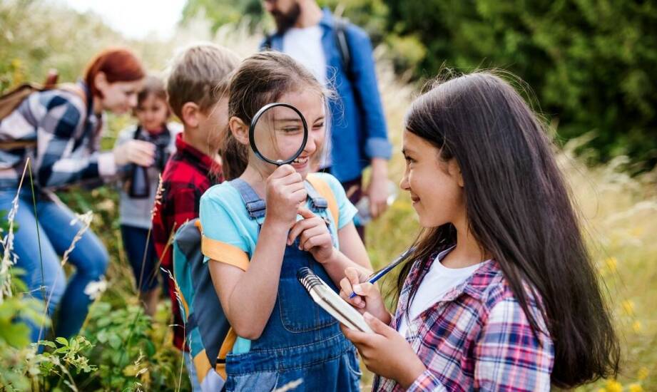 Jak kontakt z naturą w przedszkolu rozwija język i samodzielność dziecka