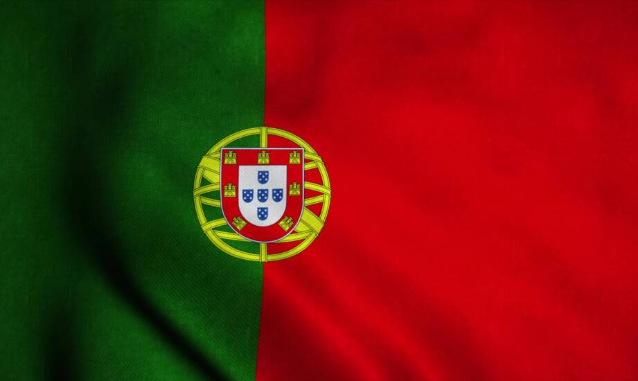 Portugalski online dla początkujących — jak ocenić wariant języka, poziom i formę zajęć