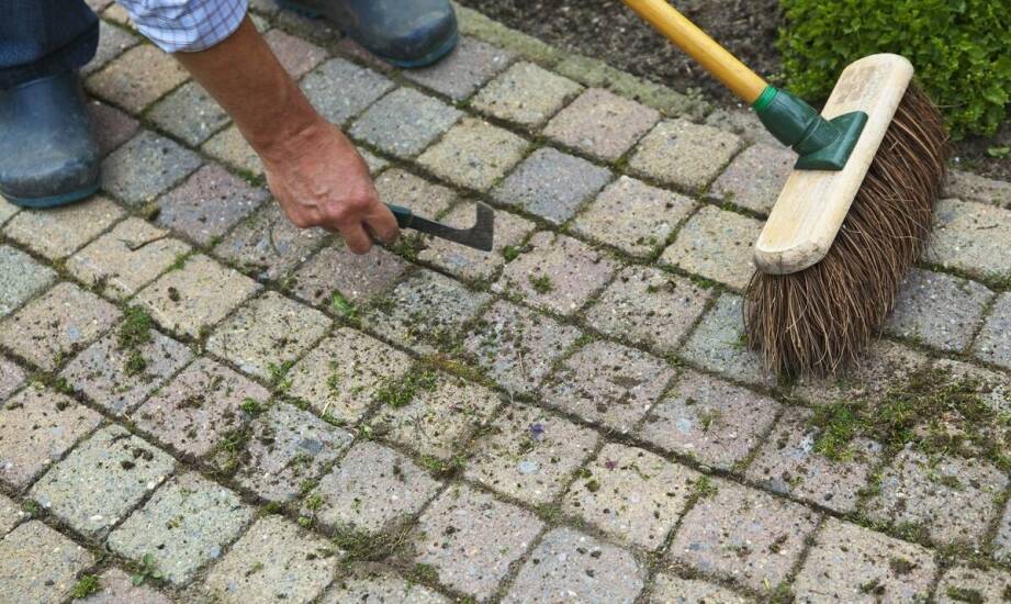 Jak wspólnota mieszkaniowa planuje wiosenne czyszczenie kostki po zimie na osiedlu w Gdyni