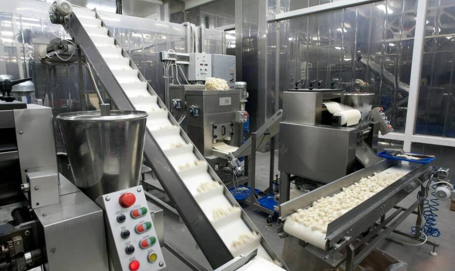 Od surowca do granulki — które etapy produkcji suchej karmy dla psów decydują o jakości