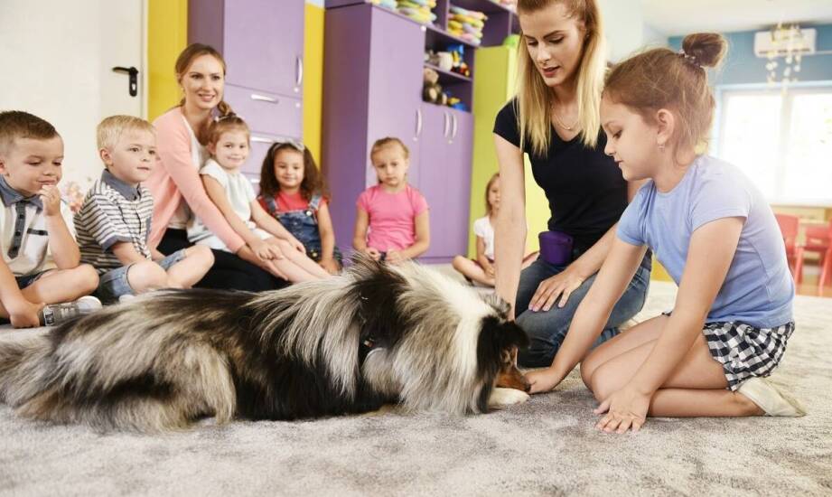 Kiedy zajęcia z psem w przedszkolu wspierają emocje, relacje i uwagę dziecka