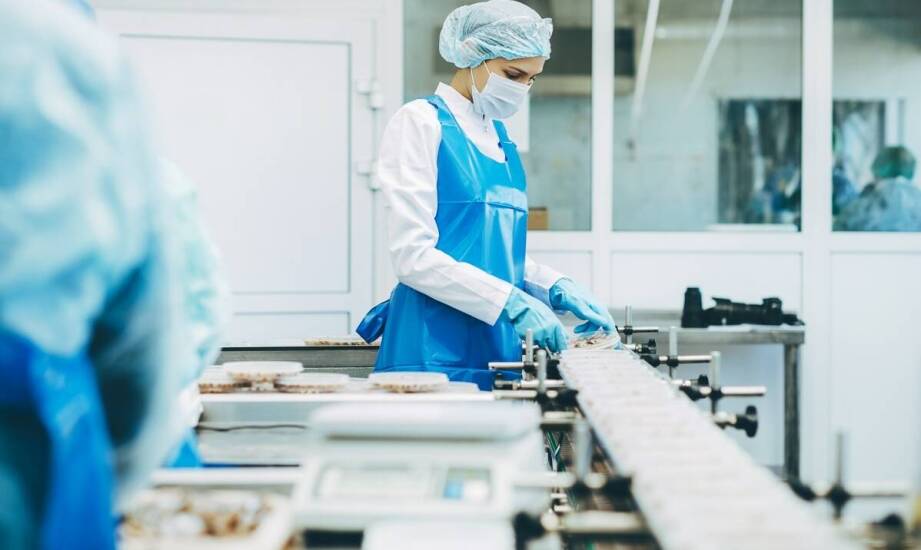 Jak ocenić, czy producent pelletów do snacków obsłuży nową recepturę i wolumen