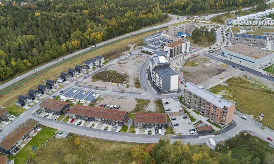 Od czego naprawdę zależy cena działki pod dom w Toruniu i okolicach