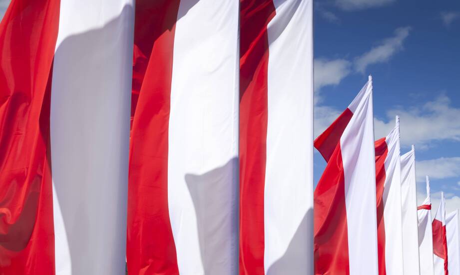Jakie zamówienia realizuje warszawski punkt z flagami dla szkół, urzędów i firm