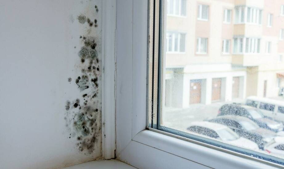 Wymiana starych okien w domu na Podkarpaciu ujawnia problemy z wentylacją i wilgocią
